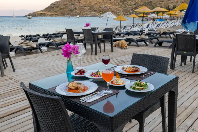 Restoran ve Barlar